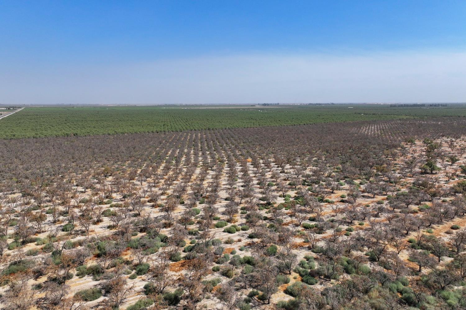 0 Ave 72 Pixley, CA 93256 - Photo 6 of 6 a view of a lake