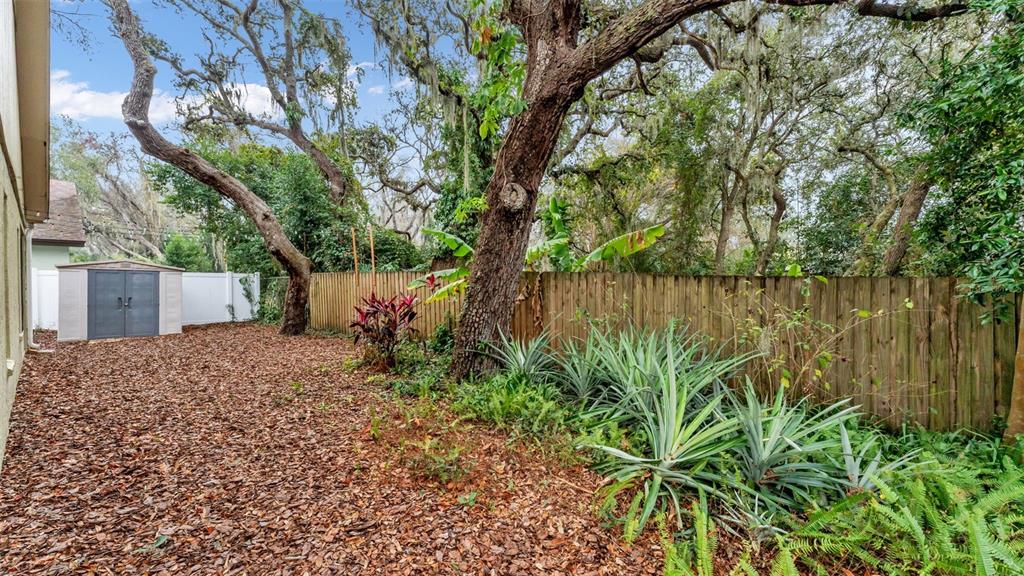 2319 Needham Drive Valrico, FL 33596 - Photo 32 of 35 a backyard of a house with lots of green space and fountain
