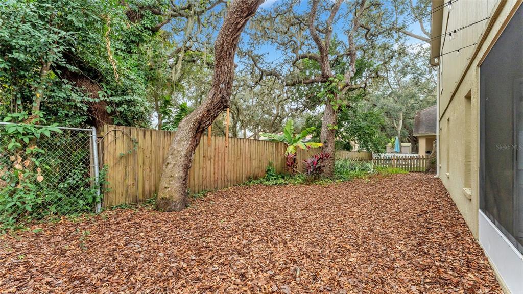 2319 Needham Drive Valrico, FL 33596 - Photo 33 of 35 a view of a backyard of the house