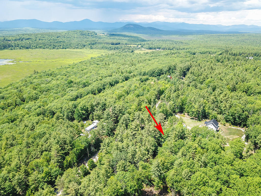 Lot 9 Smith Road Denmark, ME 04022 - Photo 22 of 34 917-Denmark-land-summer2020A