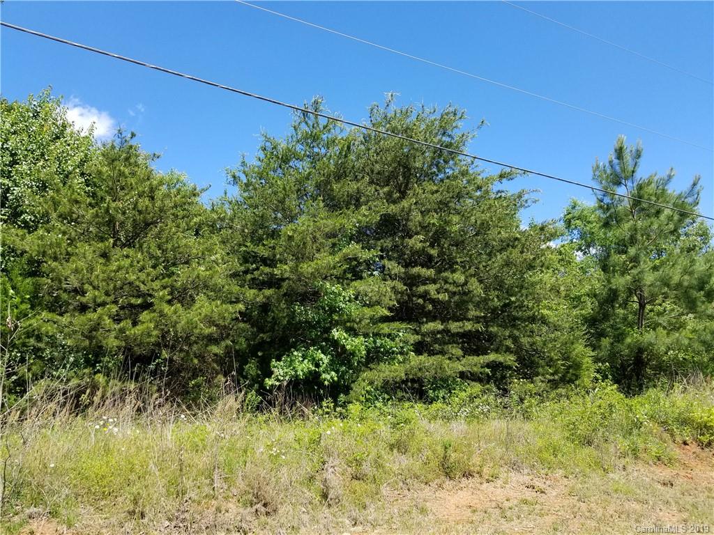 9.85 Bess Chapel Church Road Cherryville, NC 28021 - Photo 6 of 14 Gallery Image 6