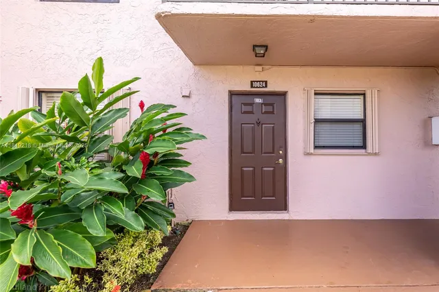 a potted plant sitting on the side of a building