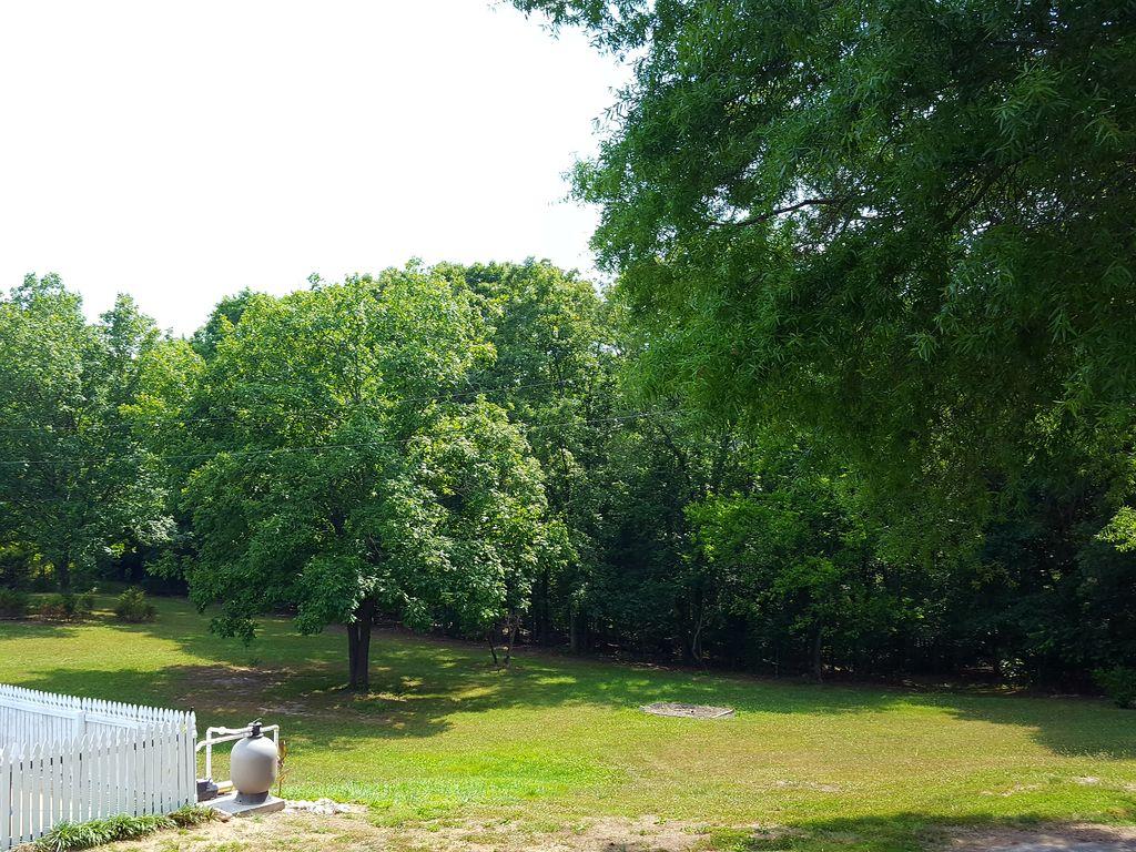 7230 Sims Road Harrison, TN 37341 - Photo 5 of 16 ISt4j2o6gzfvg70000000000
