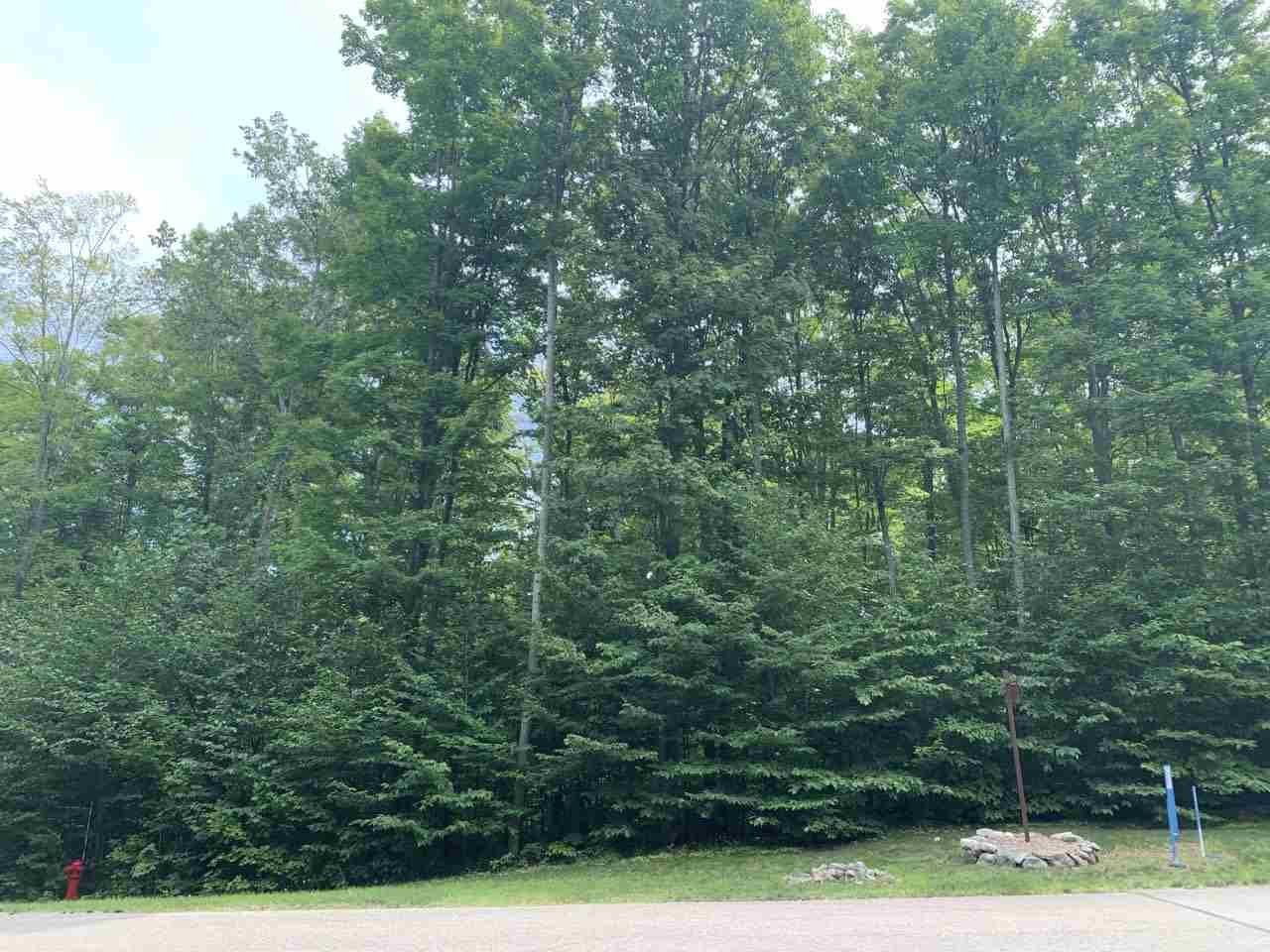 157 Falcons Rest, Unit LOT: 157 Bellaire, MI 49615 - Photo 19 of 36