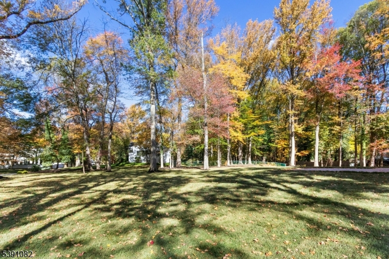 1191 Cooper Road Scotch Plains, NJ 07076 - Photo 48 of 49