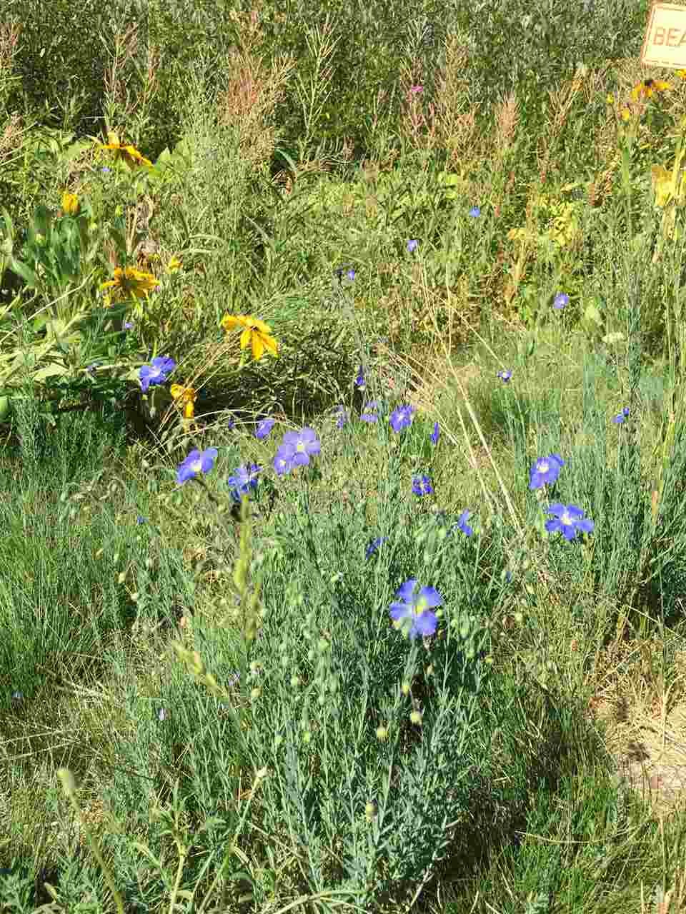 7243 Palisade Road Soda Springs, CA 95728 - Photo 3 of 16 Gallery Image 3