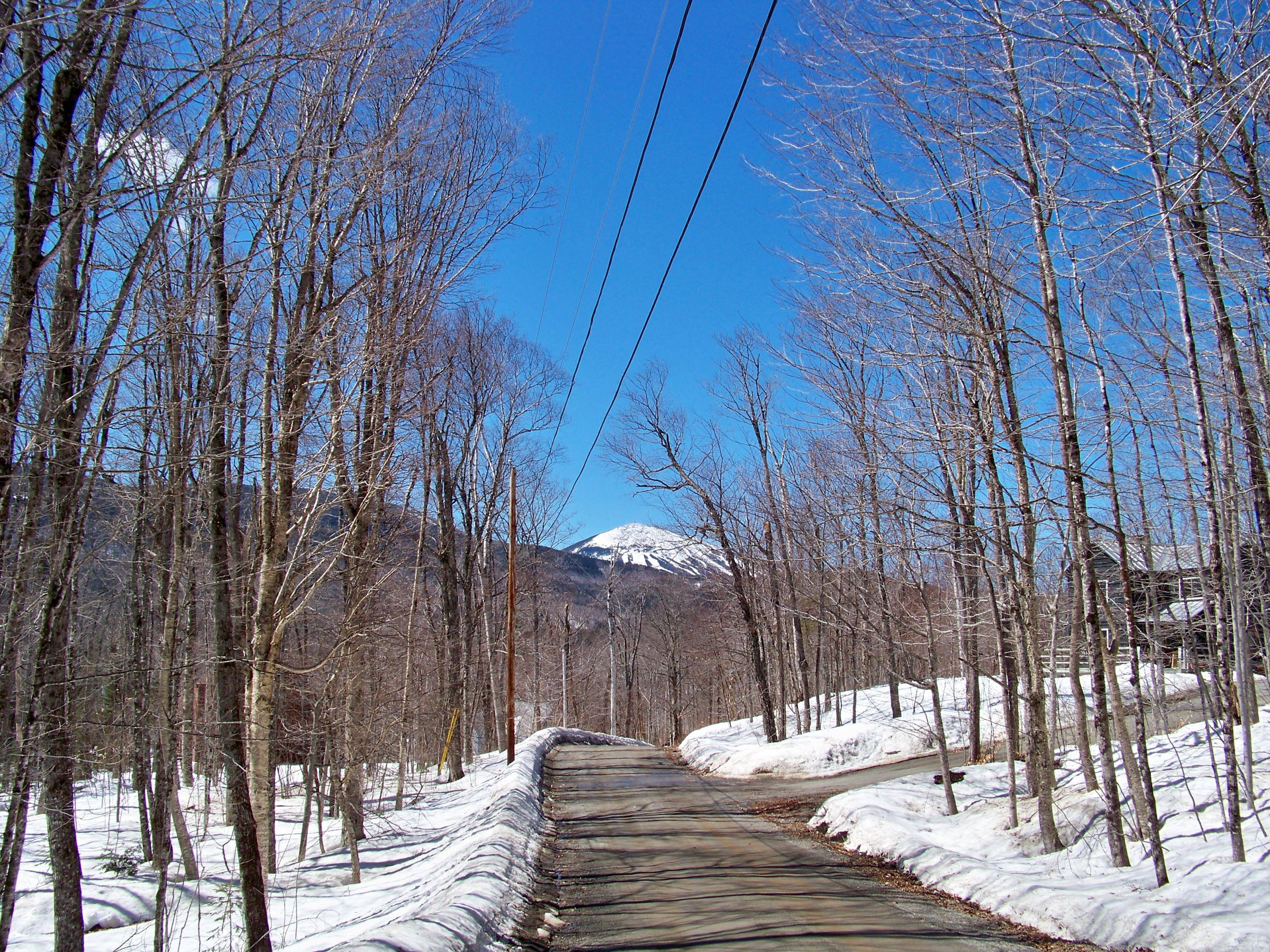 2009 Birch Trail Road Kingfield, ME 04947 - Photo 3 of 11 Looking down Birch Trail
