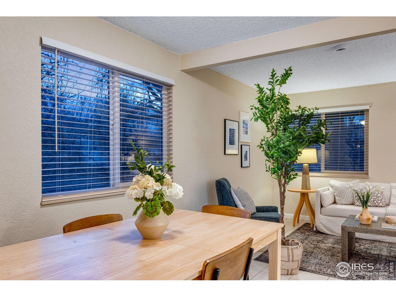 a view of a dining room with furniture and a potted plant
