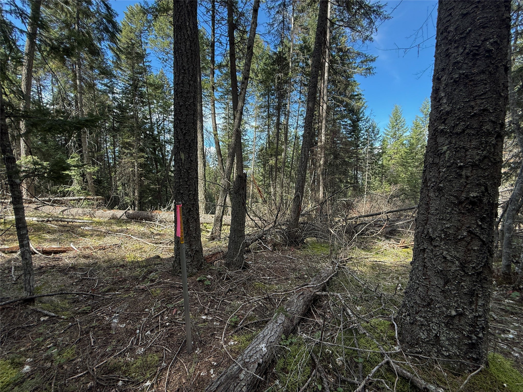 N/a Wapiti Point Road Thompson Falls, MT 59873 - Photo 17 of 17 Gallery Image 17