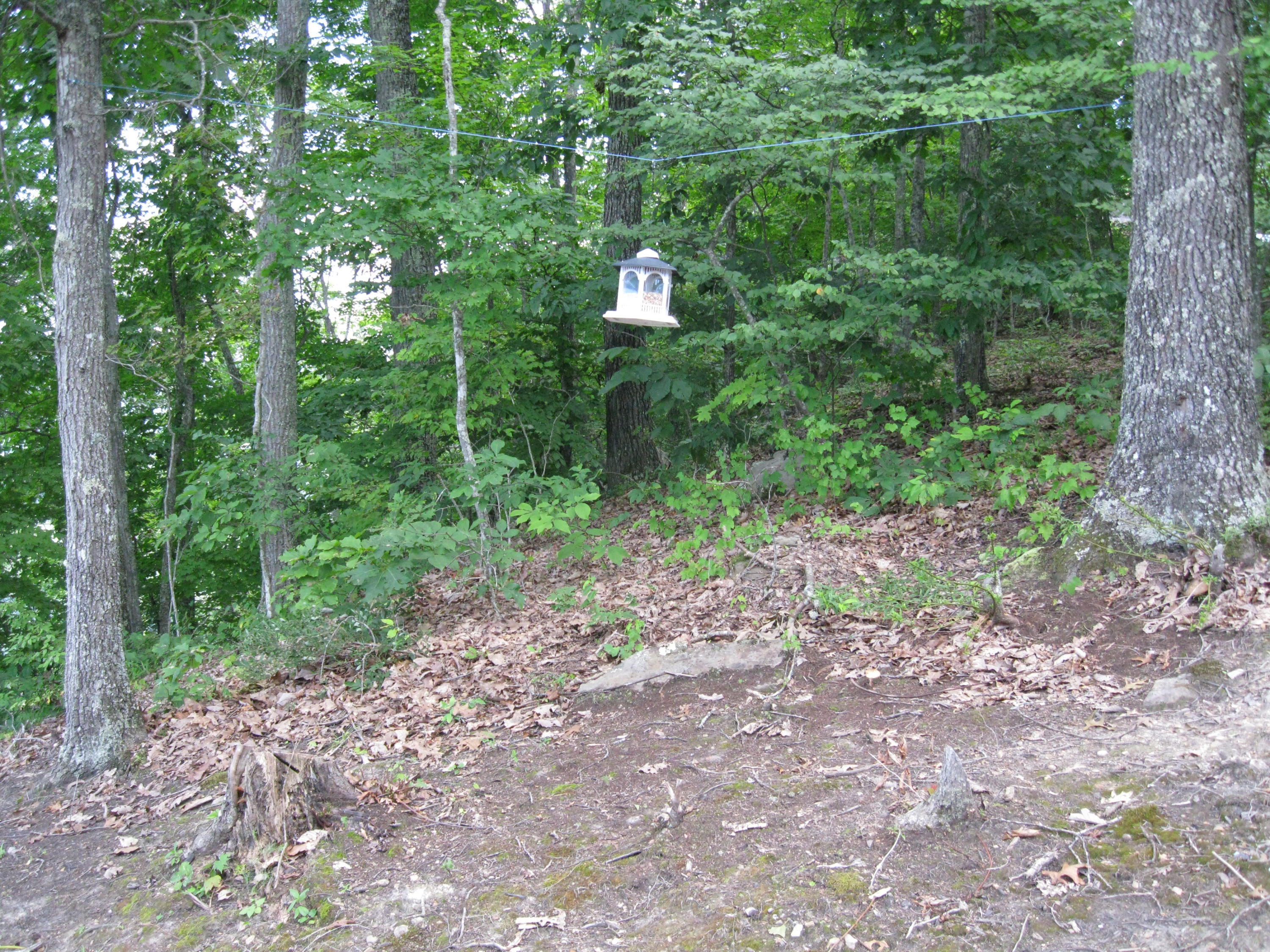 252 Falls Pointe Road Hinton, WV 25951 - Photo 27 of 53 Gallery Image 27