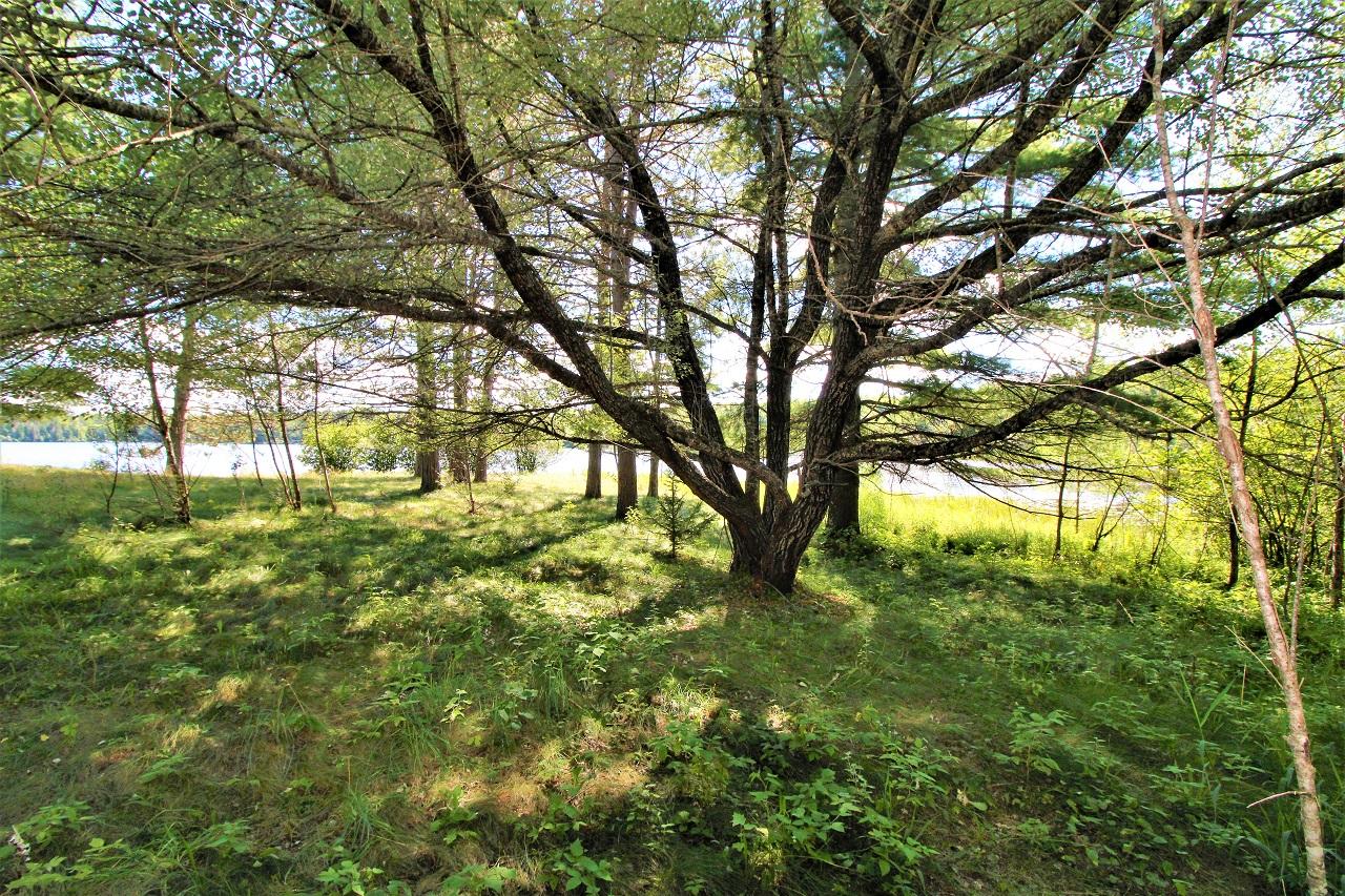 1875 West Clear Lake Road Mercer, WI 54547 - Photo 17 of 22 Gallery Image 17