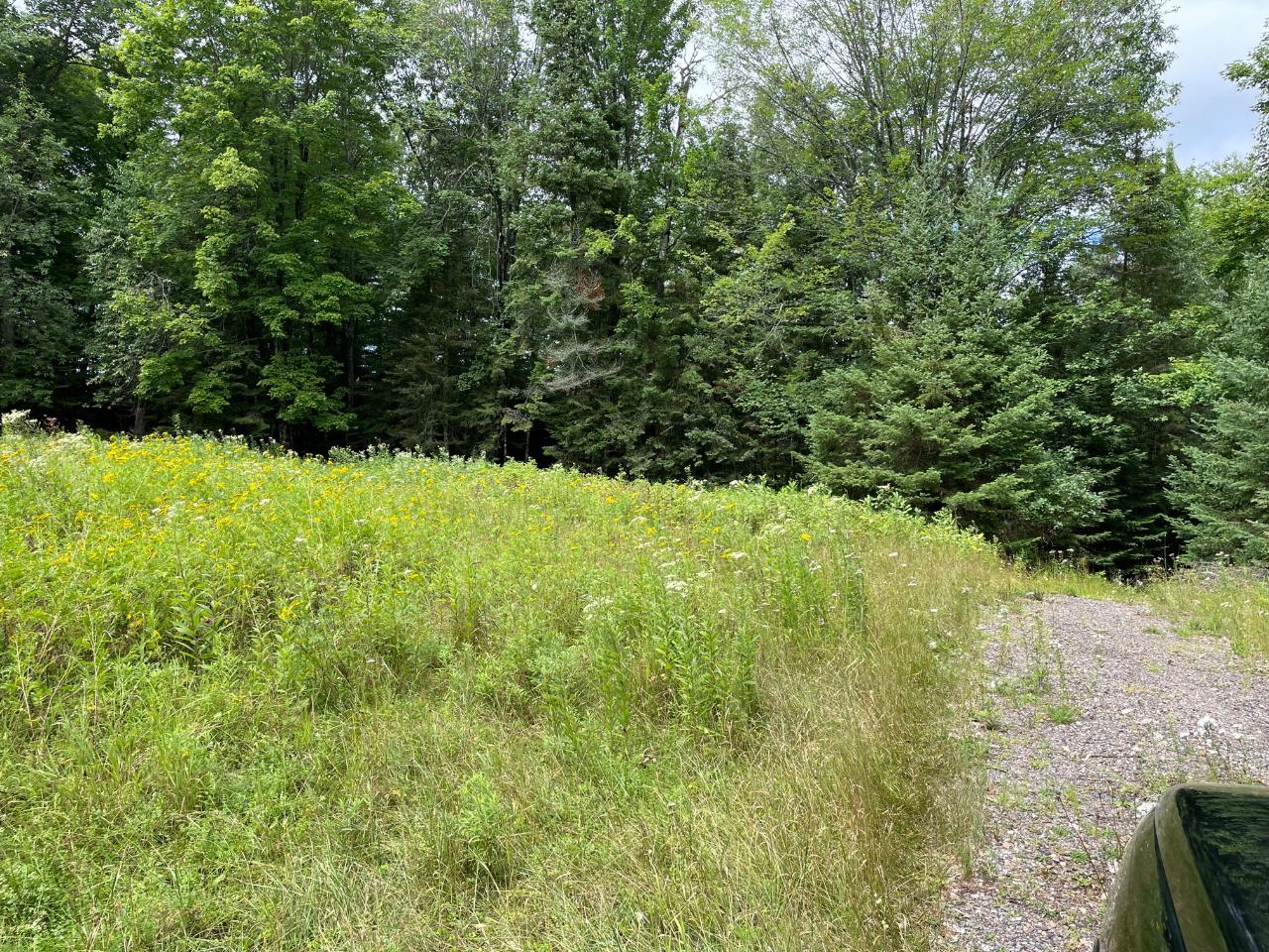 6391 Yocum Road Crandon, WI 54520 - Photo 8 of 30 Gallery Image 8