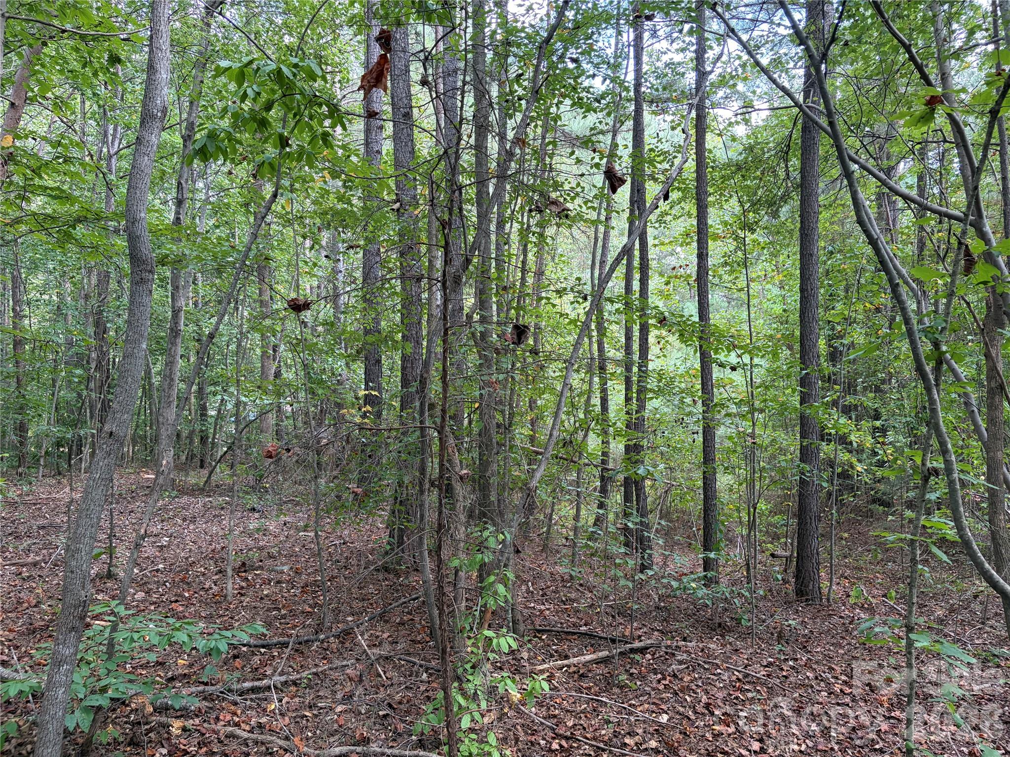 0 Silver Trail Morganton, NC 28655 - Photo 3 of 4 Gallery Image 3