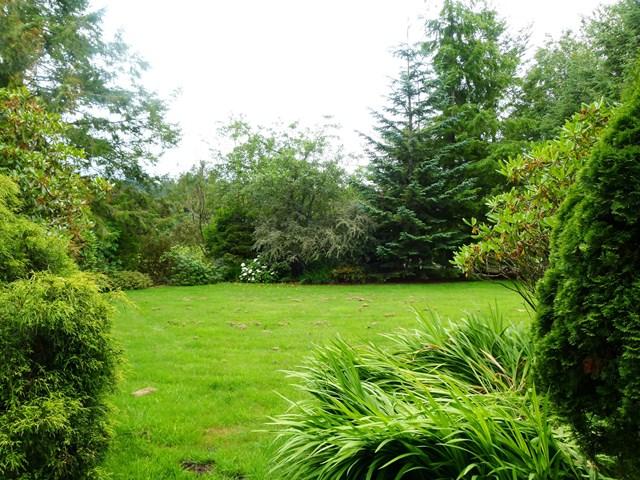 503 Hodgdon Road Tillamook, OR 97141 - Photo 24 of 43 a view of a trees in a yard
