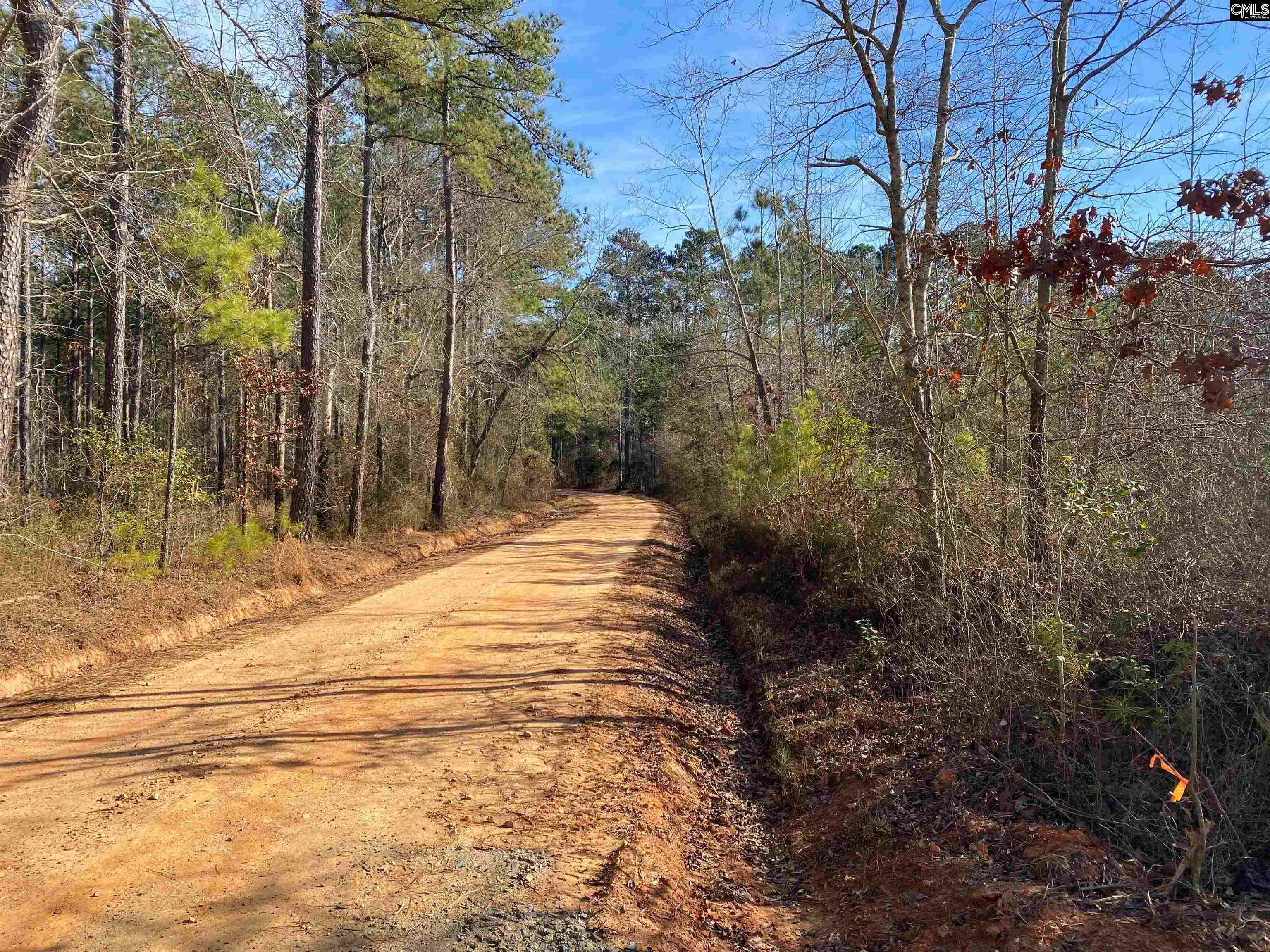 900 Pineywood Road Saluda, SC 29138 - Photo 23 of 23