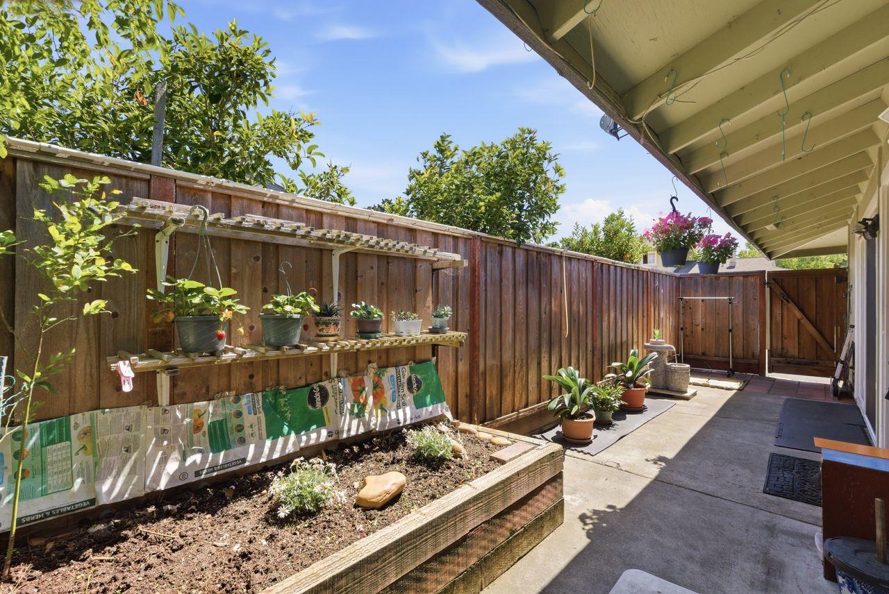 5561 Roundtree Common Fremont, CA 94538 - Photo 17 of 29 a view of a backyard with chair and potted plants