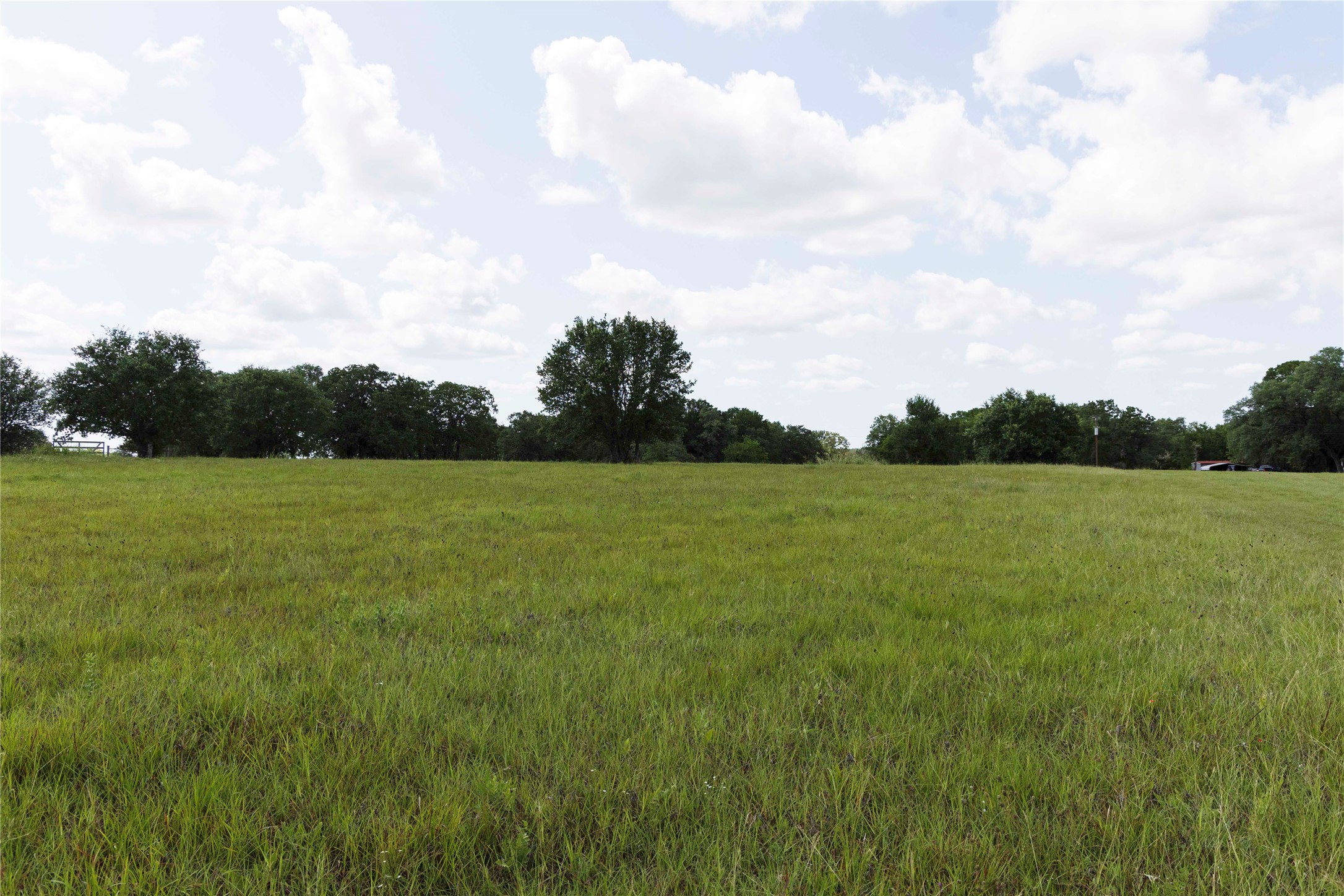 0 Hranicky Road Schulenburg, TX 78956 - Photo 15 of 19 a view of a garden with a lake