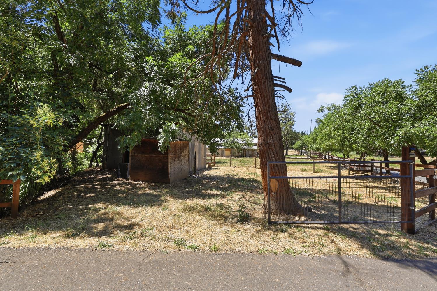 4328 Godley Road Lincoln, CA 95648 - Photo 31 of 63