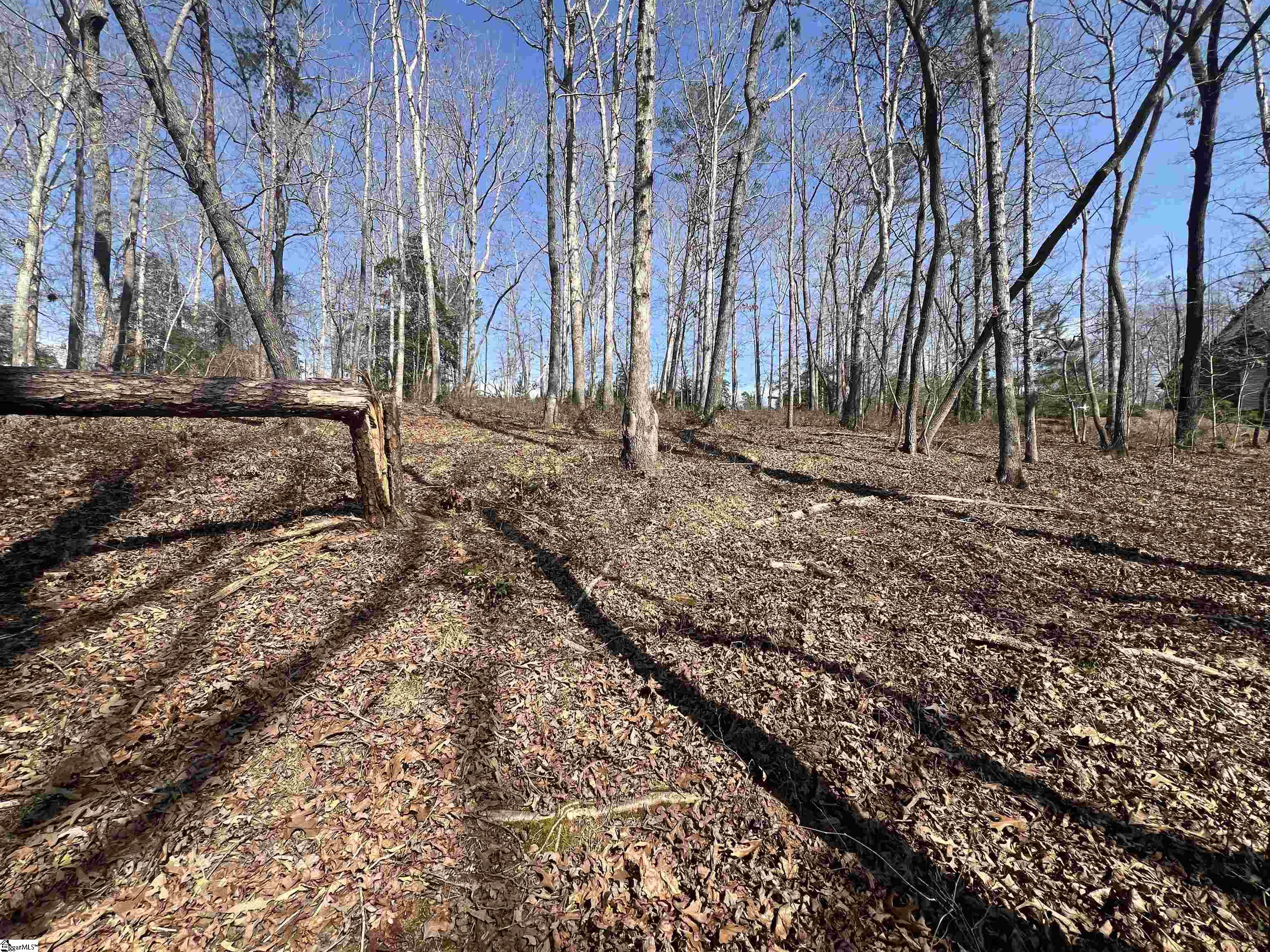 385 State Rd S-42-4394 Chesnee, SC 29323 - Photo 11 of 32