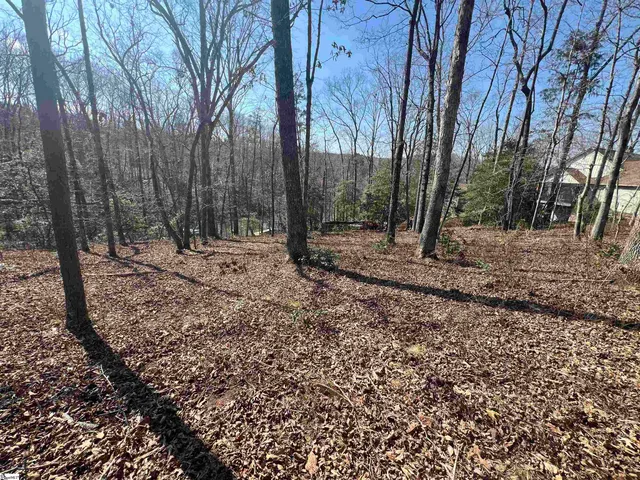 $145,000 | 385 State Rd S-42-4394, Chesnee, SC 29323