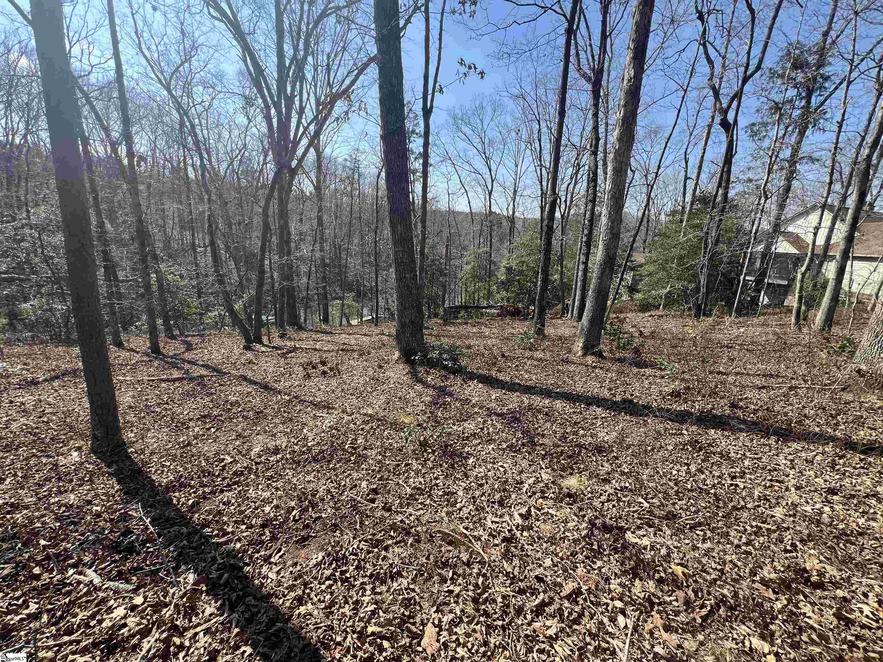 385 State Rd S-42-4394 Chesnee, SC 29323 - Photo 12 of 32