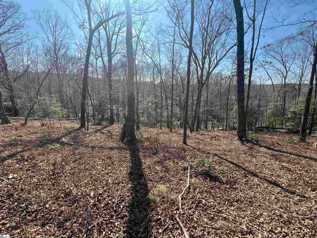 $145,000 | 385 State Rd S-42-4394, Chesnee, SC 29323