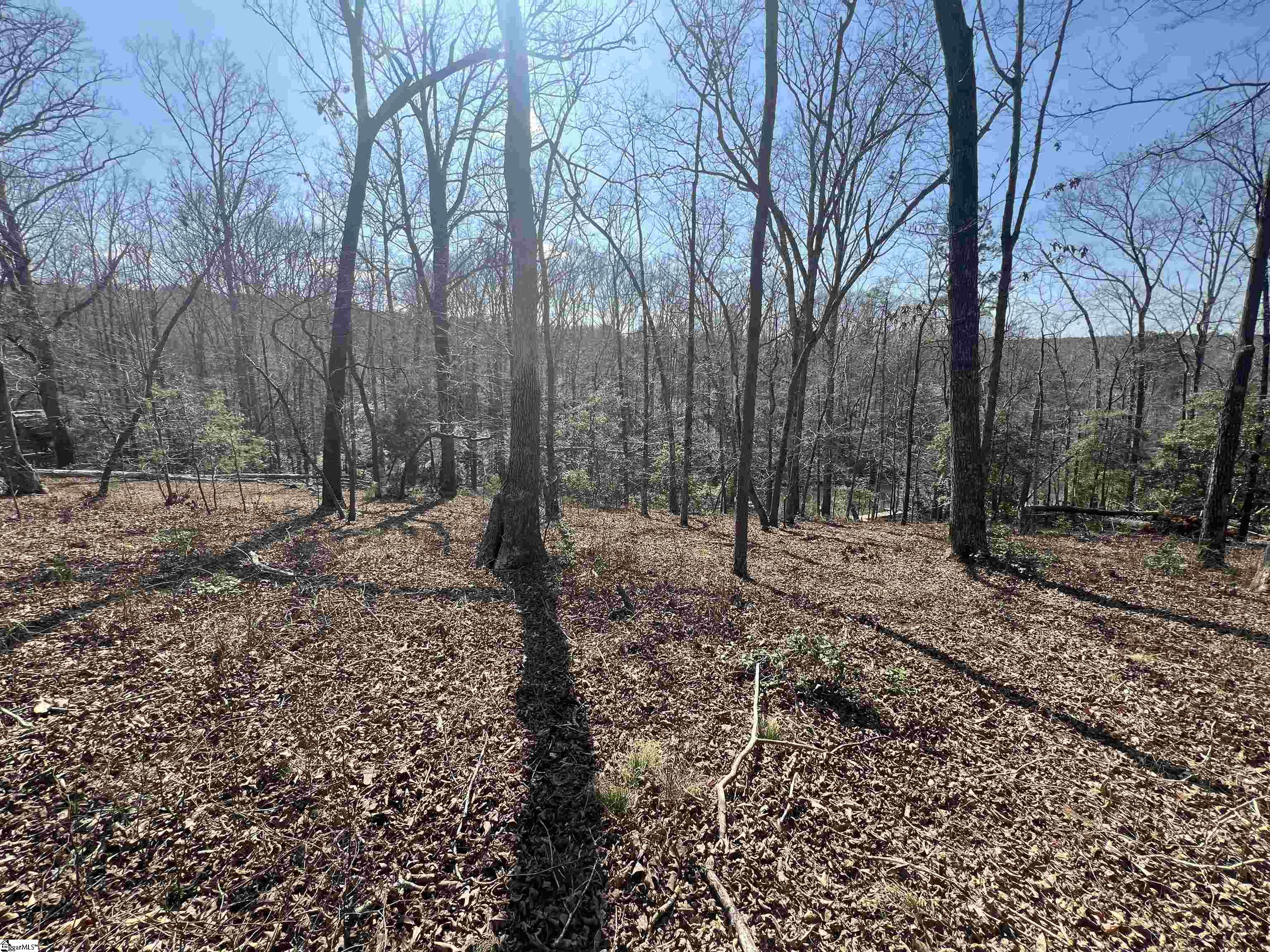 385 State Rd S-42-4394 Chesnee, SC 29323 - Photo 13 of 32