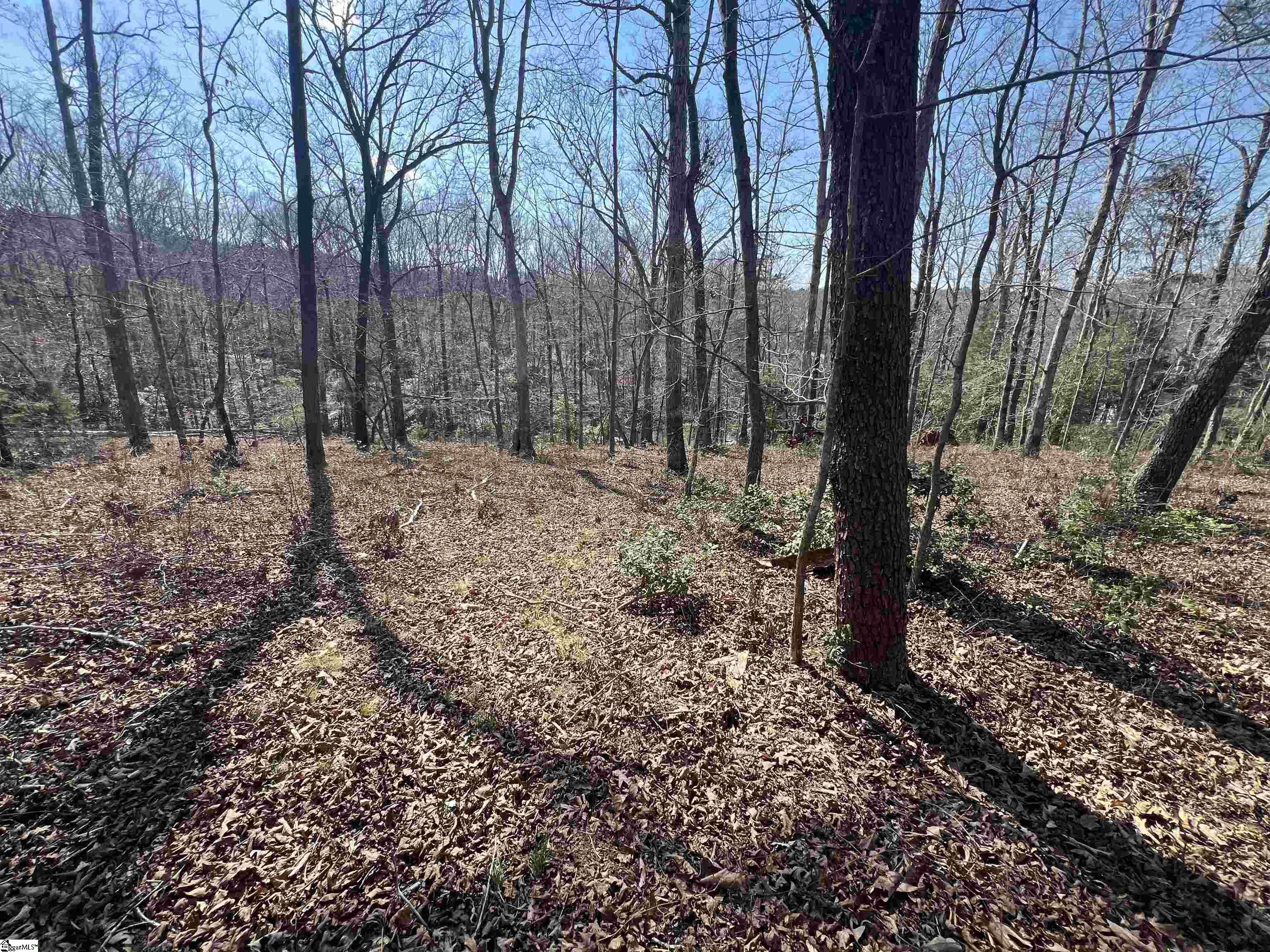 385 State Rd S-42-4394 Chesnee, SC 29323 - Photo 14 of 32