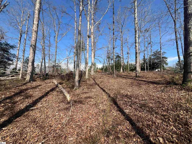 $145,000 | 385 State Rd S-42-4394, Chesnee, SC 29323