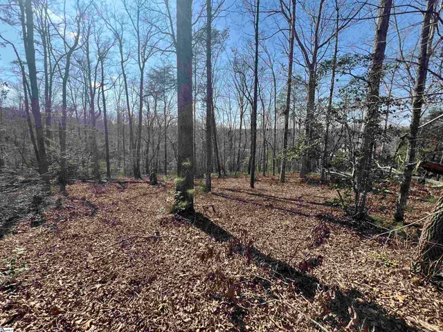 $145,000 | 385 State Rd S-42-4394, Chesnee, SC 29323