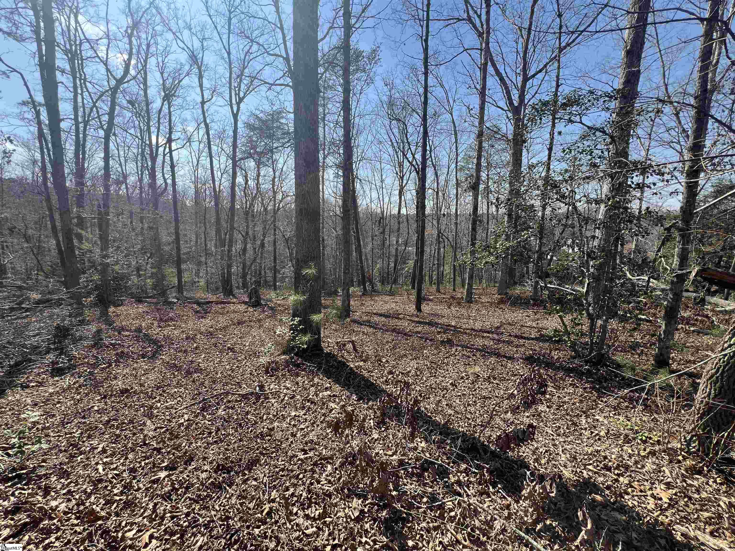 385 State Rd S-42-4394 Chesnee, SC 29323 - Photo 16 of 32