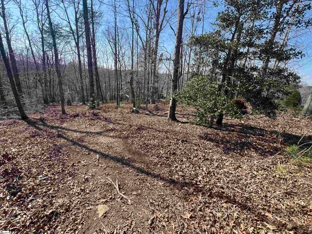 $145,000 | 385 State Rd S-42-4394, Chesnee, SC 29323