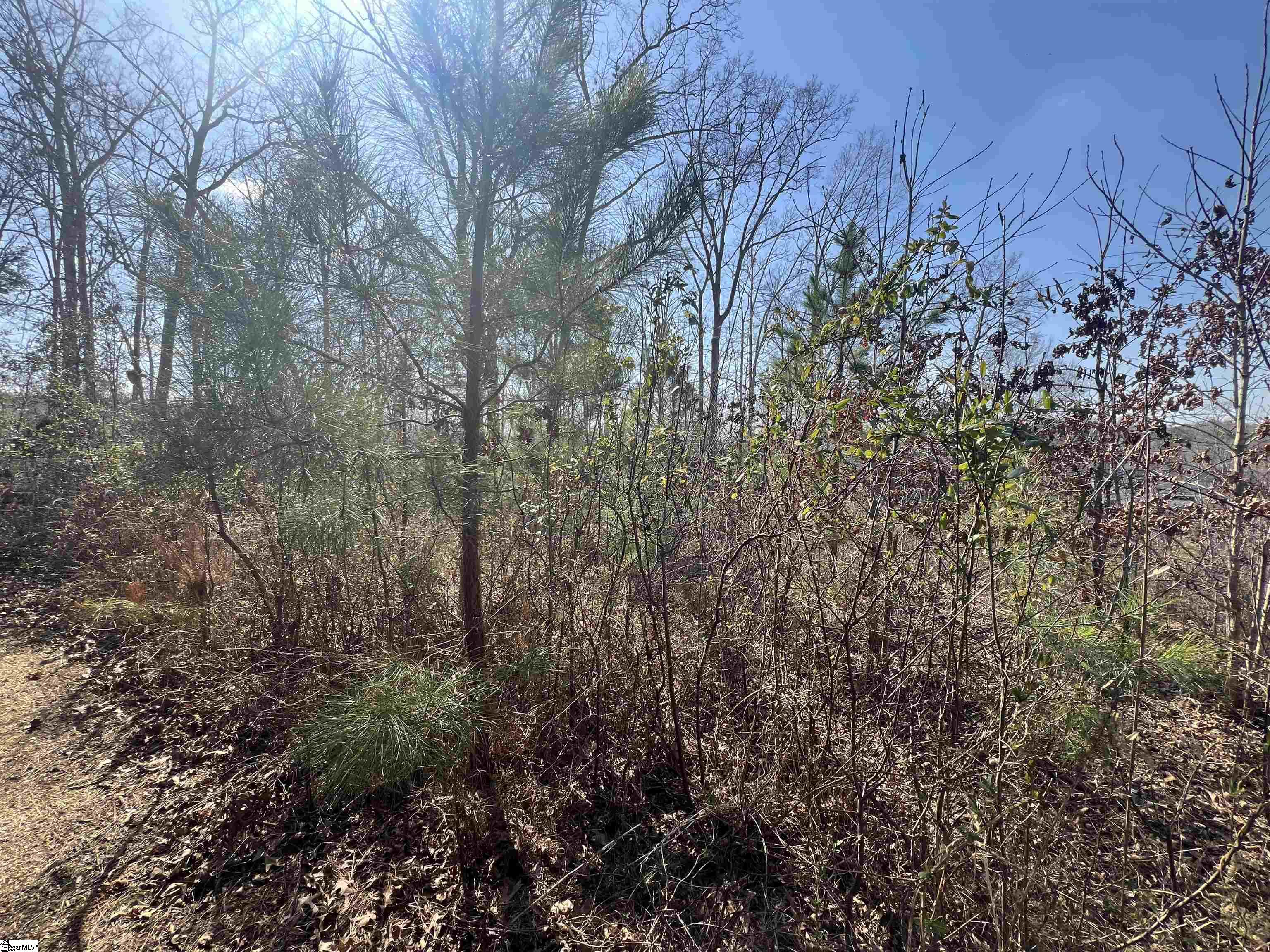 385 State Rd S-42-4394 Chesnee, SC 29323 - Photo 18 of 32