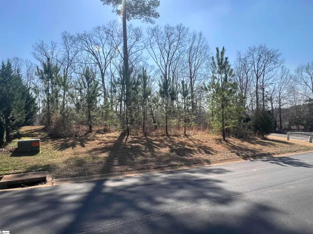 $145,000 | 385 State Rd S-42-4394, Chesnee, SC 29323