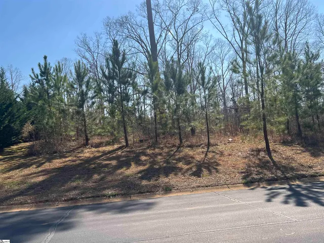 $145,000 | 385 State Rd S-42-4394, Chesnee, SC 29323