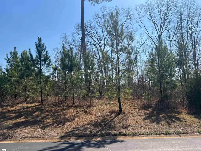 $145,000 | 385 State Rd S-42-4394, Chesnee, SC 29323