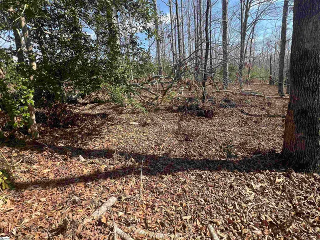 $145,000 | 385 State Rd S-42-4394, Chesnee, SC 29323