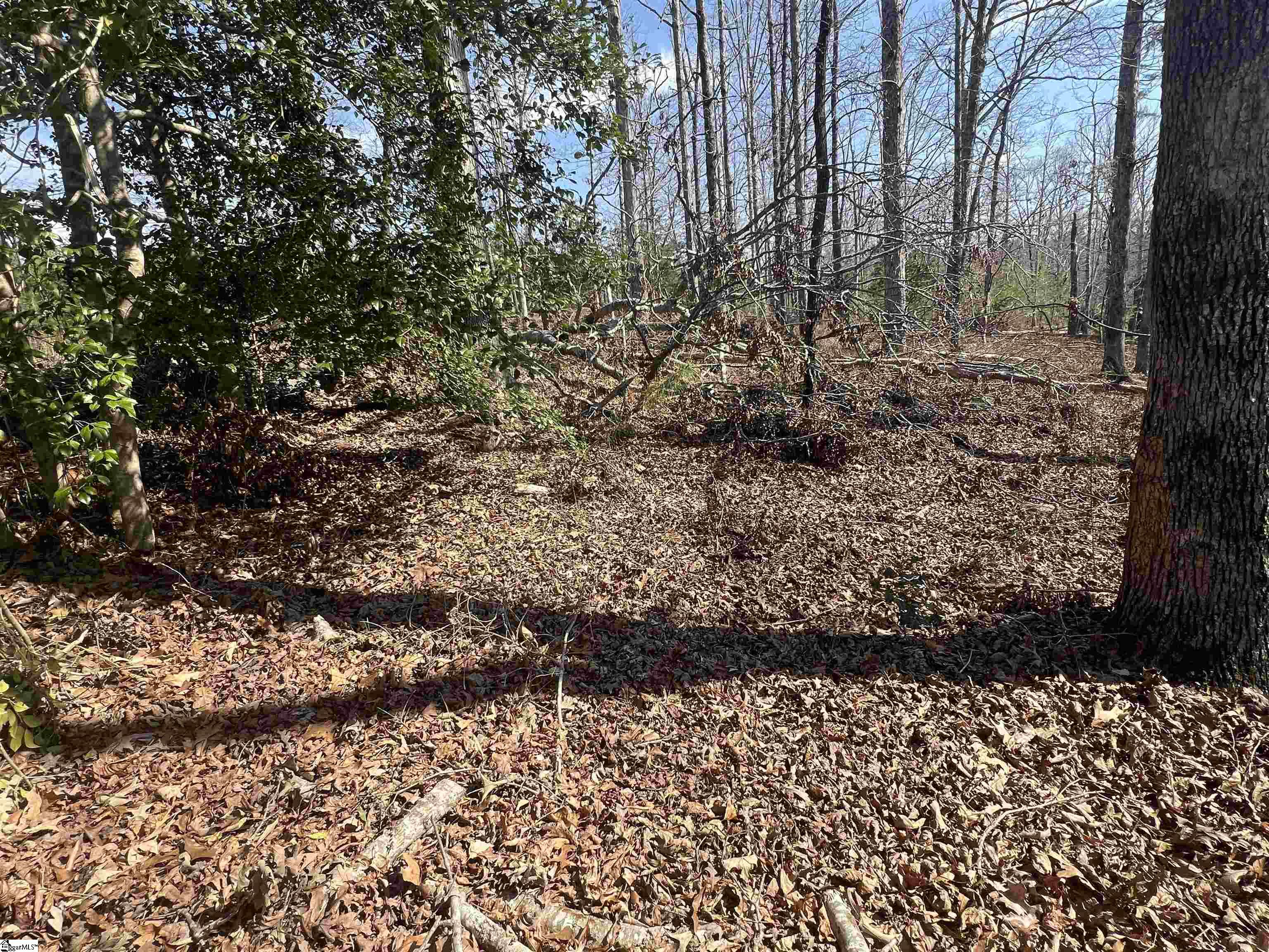 385 State Rd S-42-4394 Chesnee, SC 29323 - Photo 27 of 32