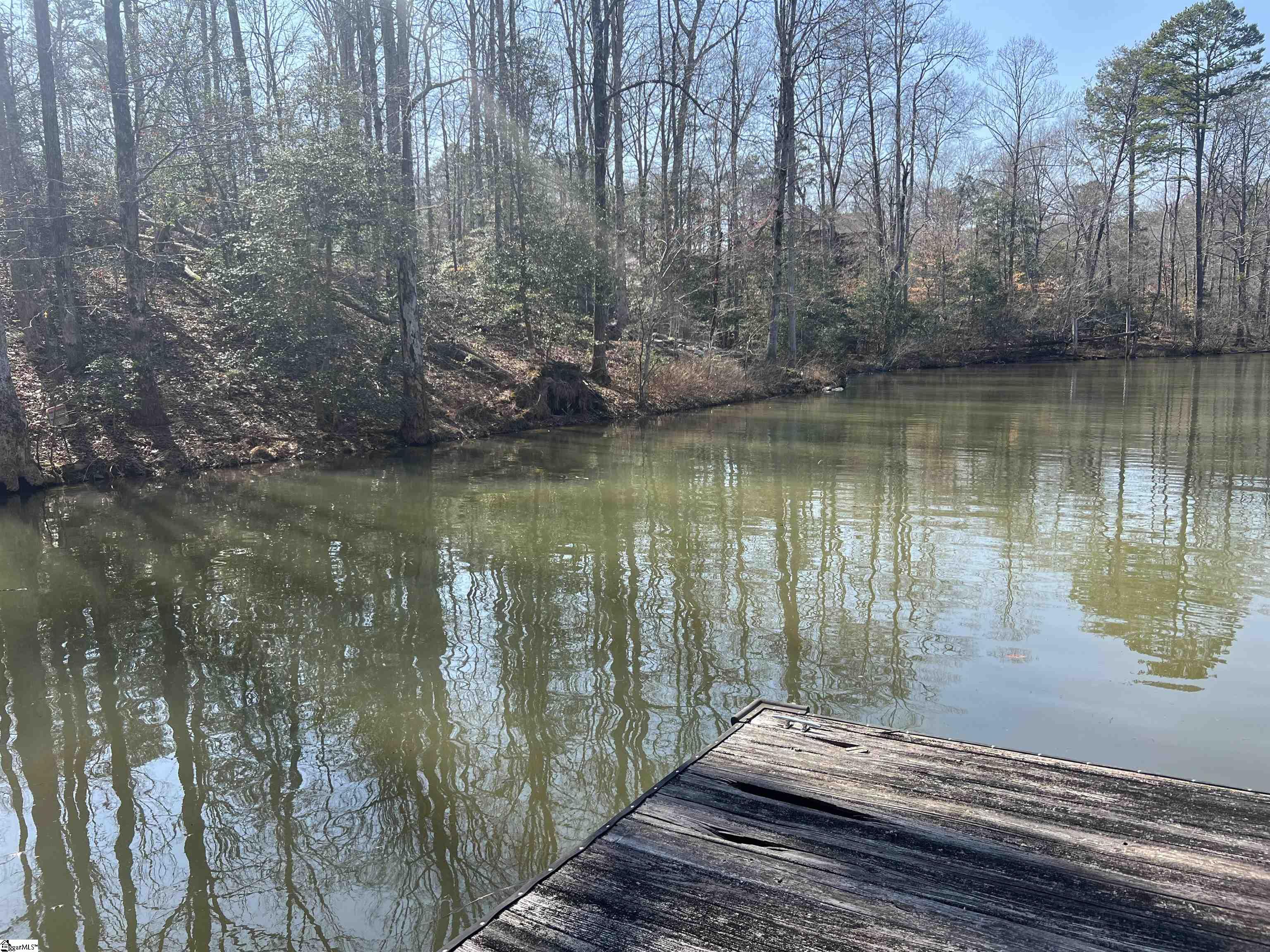 385 State Rd S-42-4394 Chesnee, SC 29323 - Photo 6 of 32