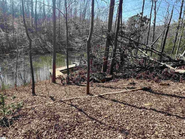 $145,000 | 385 State Rd S-42-4394, Chesnee, SC 29323