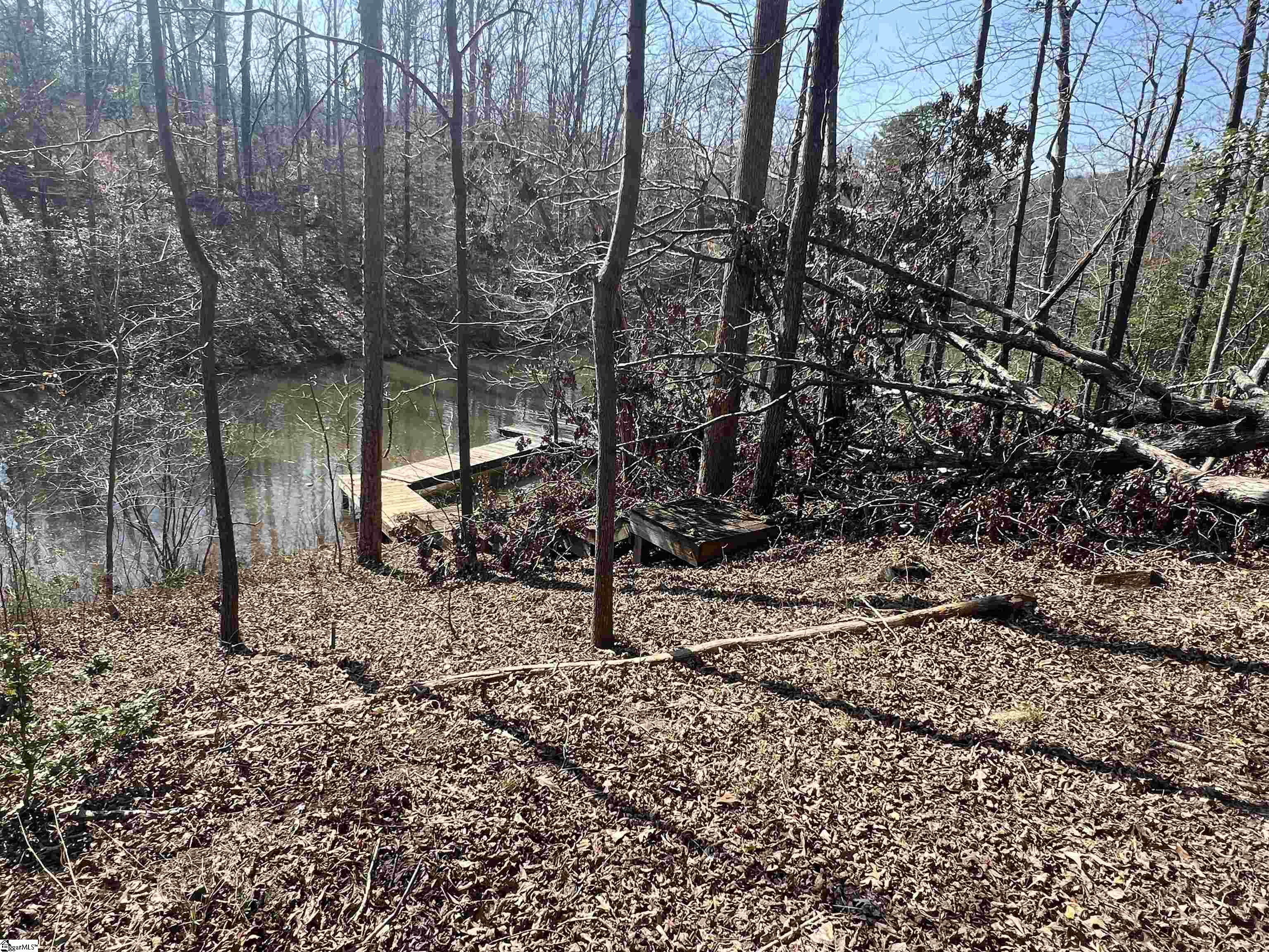 385 State Rd S-42-4394 Chesnee, SC 29323 - Photo 10 of 32