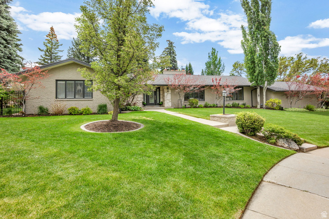 Spacious front yard with a curved concrete pathway and mature landscaping