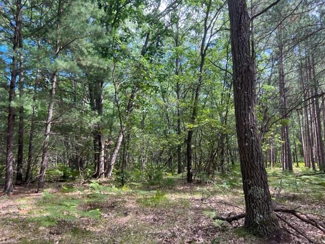 9115 North Ata Road Free Soil, MI 49411 - Photo 37 of 44 Gallery Image 37