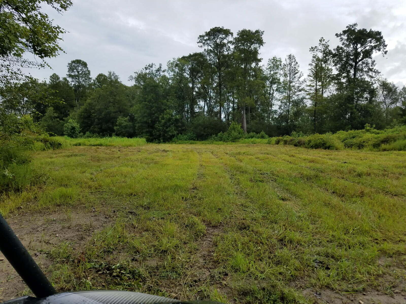 0 Pierce Road Ridgeville, SC 29472 - Photo 3 of 20 2 (1)