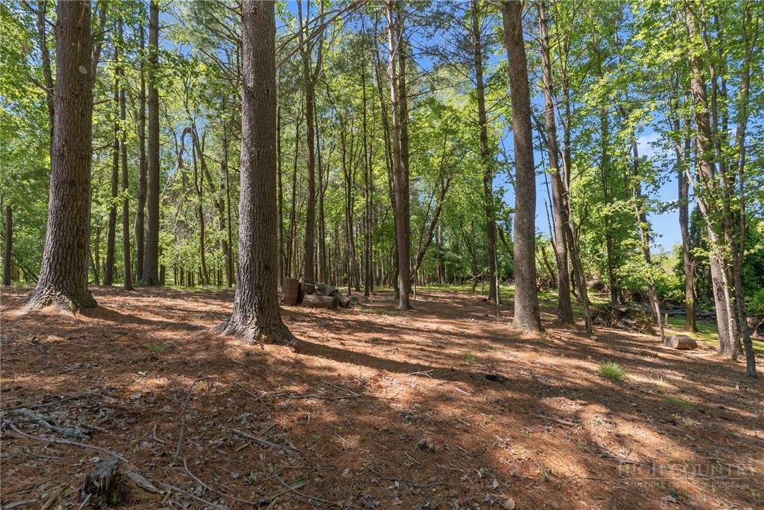 154 Folger Road Sparta, NC 28675 - Photo 29 of 37 a view of outdoor space with trees