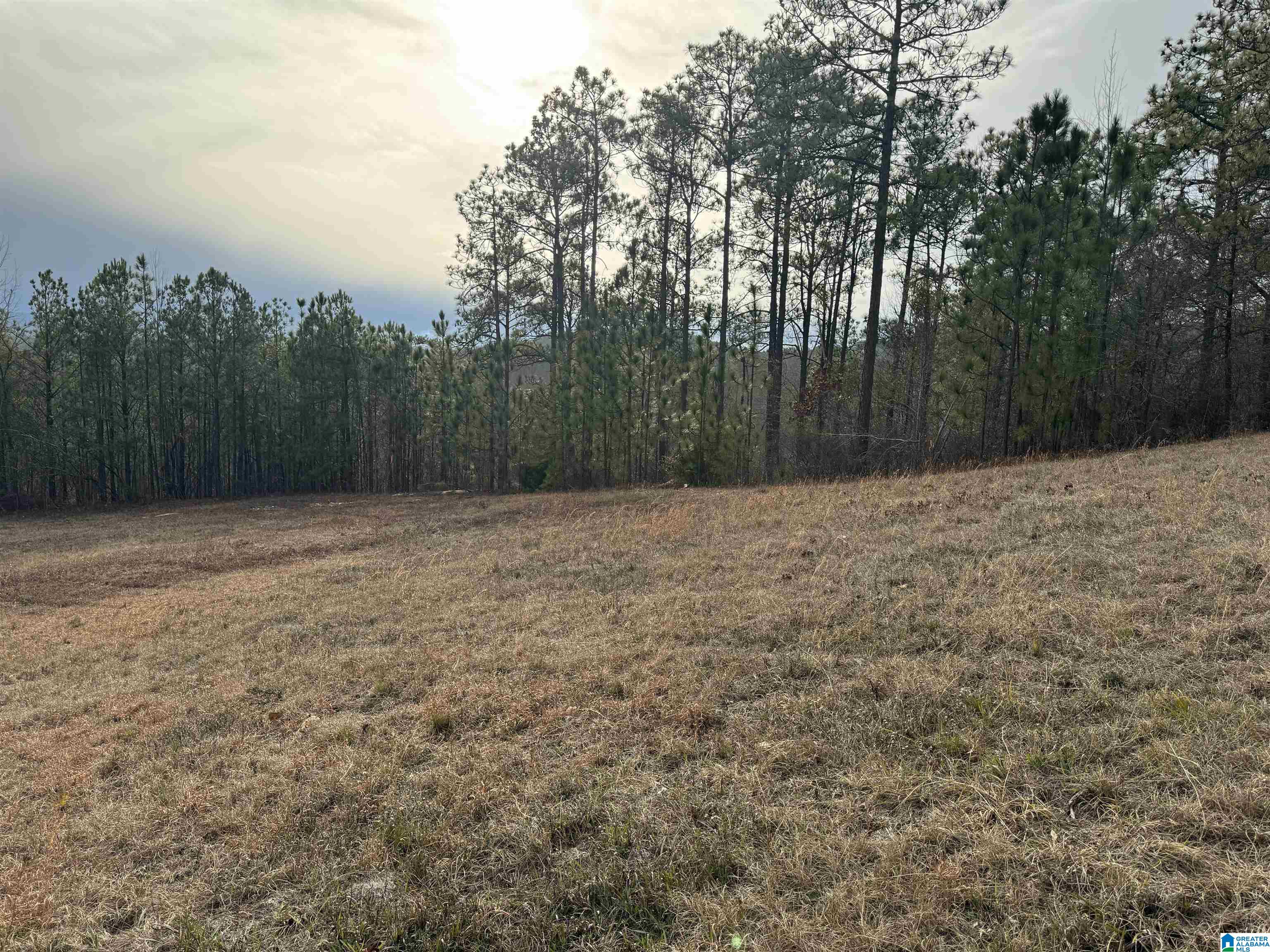 223 Mountain Ridge Road, Unit 65A AND 66A Oxford, AL 36203 - Photo 14 of 37 Gallery Image 14