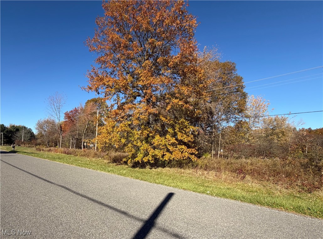 Capel Road Grafton, OH 44044 - Photo 7 of 7 View of asphalt road