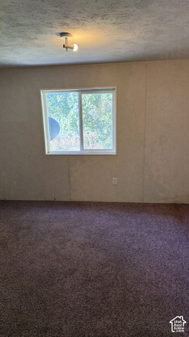 4324 East Cub Road Preston, ID 83263 - Photo 10 of 16 Spacious room with neutral wall finishes, plush carpeting, and dual-pane sliding glass doors framing natural light and outdoor scenery