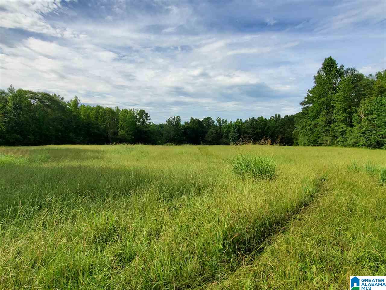 395 Hollow Branch Road Rockford, AL 35136 - Photo 13 of 26