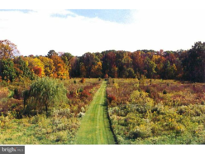 337 West Thatcher Road Quakertown, PA 18951 - Photo 14 of 19 View in Back